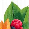 Pure & Natural Ingredients icon